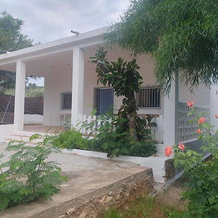 Casa Campo Con Piscina Y Barbacoa Para 6 Personas En Plena Naturaleza Picassent Exterior foto