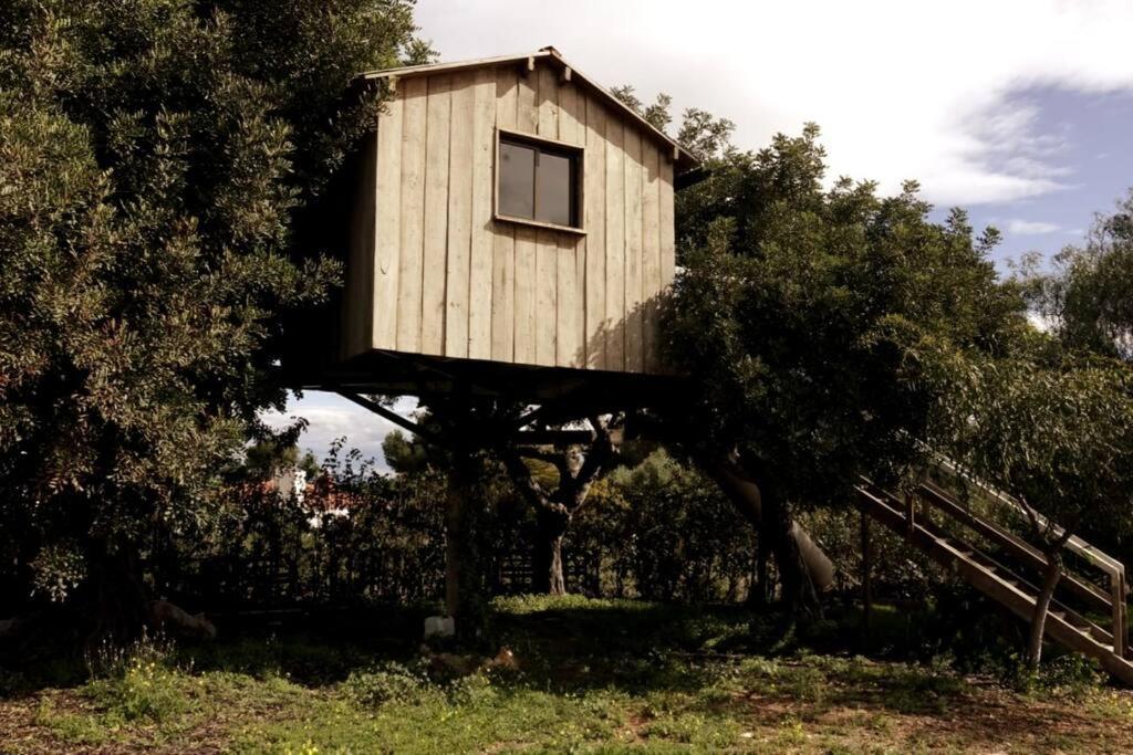 Casa Campo Con Piscina Y Barbacoa Para 6 Personas En Plena Naturaleza Picassent Exterior foto
