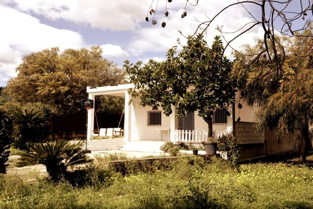 Casa Campo Con Piscina Y Barbacoa Para 6 Personas En Plena Naturaleza Picassent Exterior foto