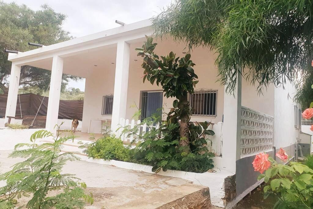 Casa Campo Con Piscina Y Barbacoa Para 6 Personas En Plena Naturaleza Picassent Exterior foto