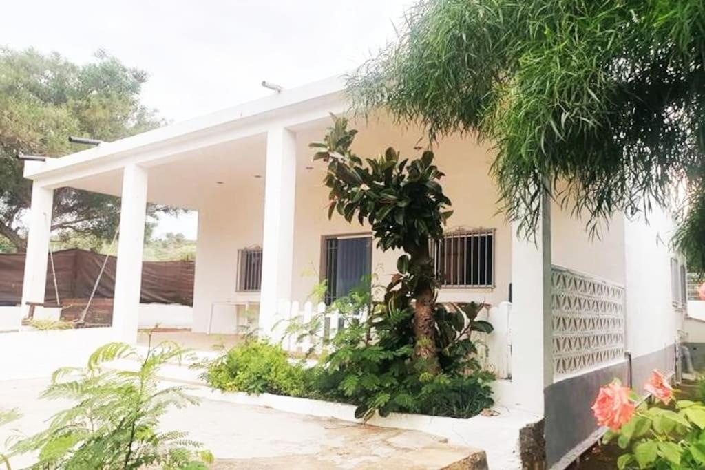 Casa Campo Con Piscina Y Barbacoa Para 6 Personas En Plena Naturaleza Picassent Exterior foto
